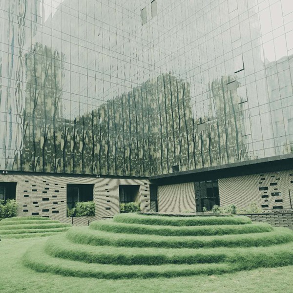 grassland surrounded by architectures